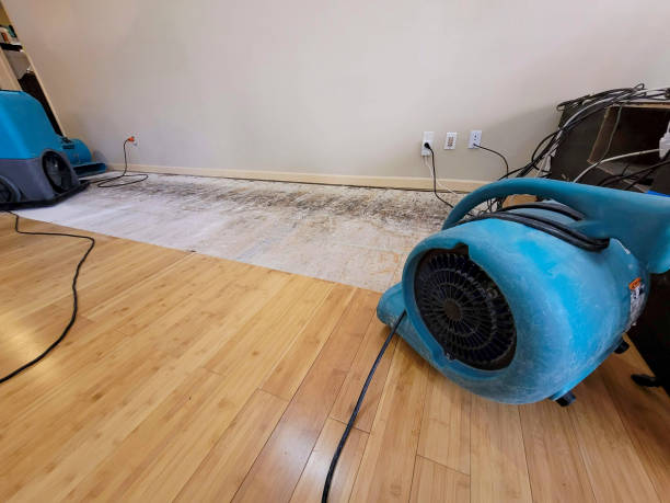 Professional Water Extraction technician working in West Milton, OH